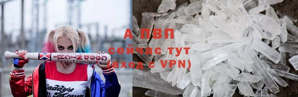 прущие крисы Абаза