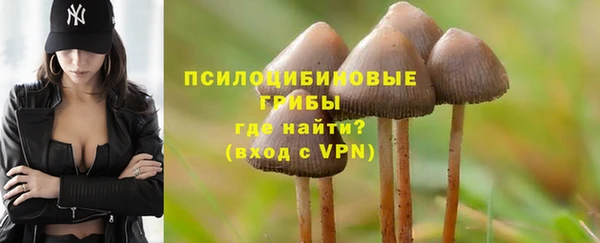 мяу мяу мука Алексеевка