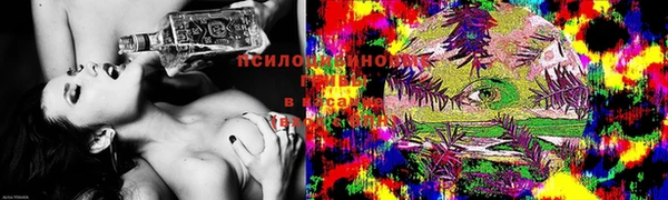 мяу мяу мука Алексеевка