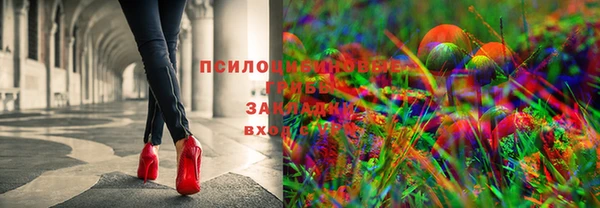 мяу мяу мука Алексеевка